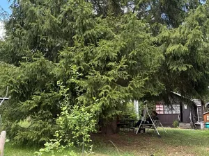Prodej chaty, Kaliště, Na Valachu, 25 m2