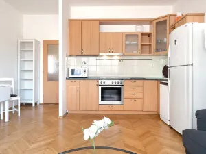 Pronájem bytu 2+kk, Praha - Nusle, Na Veselí, 50 m2