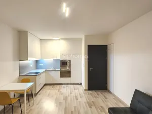 Pronájem bytu 1+kk, Praha - Stodůlky, Ferrariho, 36 m2