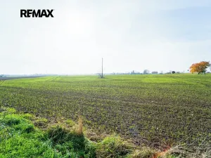 Prodej pozemku pro bydlení, Všechlapy, 9214 m2