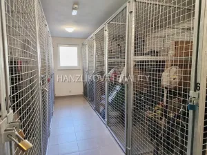 Pronájem bytu 2+kk, České Budějovice - České Budějovice 5, Ledenická, 51 m2
