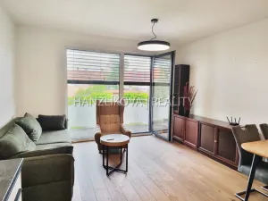Pronájem bytu 2+kk, České Budějovice - České Budějovice 5, Ledenická, 51 m2