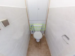 Pronájem bytu 4+1, Praha, U zeleného ptáka, 84 m2