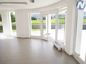 Pronájem obchodního prostoru, Písek, Čechova, 50 m2