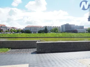 Pronájem obchodního prostoru, Písek, Čechova, 50 m2