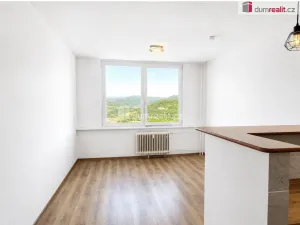 Pronájem bytu 1+kk, Ústí nad Labem - Krásné Březno, Rozcestí, 26 m2