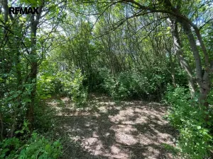 Pronájem zahrady, Lipník nad Bečvou, 851 m2