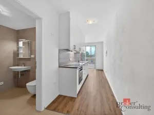 Pronájem bytu 1+kk, Plzeň, 27 m2