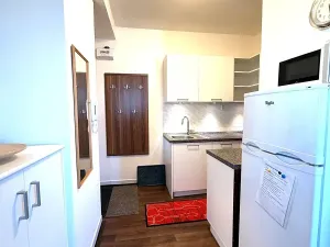 Pronájem bytu 2+kk, Praha - Vokovice, Ke dvoru, 49 m2
