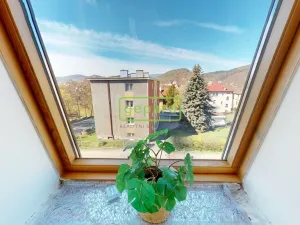 Prodej vily, Děčín, Nedbalova, 445 m2