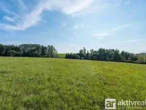Prodej pozemku pro bydlení, Ratboř - Těšínky, 6500 m2