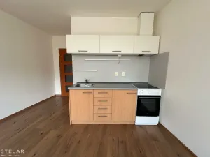 Pronájem bytu 1+kk, Opava, Hálkova, 33 m2