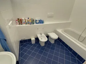 Pronájem bytu 3+kk, Praha - Vinohrady, Anny Letenské, 107 m2