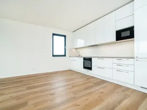 Pronájem bytu 4+kk, Praha - Vysočany, Svatošových, 99 m2