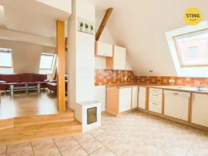 Pronájem atypického bytu, Ostrava, Josefa Šavla, 100 m2