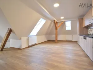 Pronájem bytu 1+kk, Týnec nad Sázavou, Klusáčkova, 45 m2