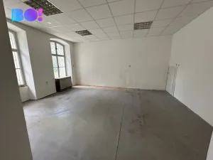 Prodej vícegeneračního domu, Fulnek, Fučíkova, 255 m2