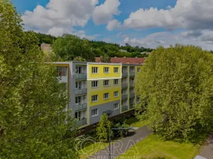 Prodej bytu 2+1, Litvínov - Horní Litvínov, Podkrušnohorská, 54 m2