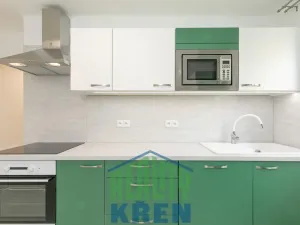 Pronájem bytu 2+1, Praha - Sedlec, V Sedlci, 52 m2