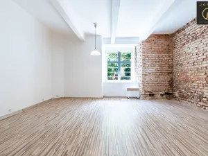 Prodej komerční nemovitosti, Praha - Vinohrady, Rejskova, 37 m2