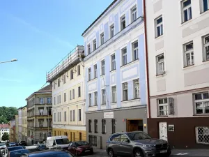 Pronájem bytu 4+kk, Praha - Žižkov, Milíčova, 100 m2