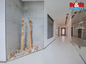 Pronájem rodinného domu, Mostkovice, Sadová, 276 m2