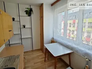 Pronájem bytu 2+1, Jihlava, Žižkova, 56 m2