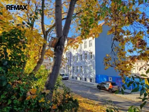 Pronájem bytu 1+kk, Praha - Nusle, Křesomyslova, 38 m2