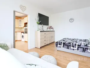 Prodej bytu 1+1, Bílina, Sídliště Za Chlumem, 35 m2