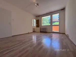 Pronájem bytu 1+1, Bílina, Alšova, 27 m2