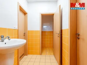 Prodej obchodního prostoru, Žďár nad Sázavou - Žďár nad Sázavou 1, Brněnská, 1224 m2