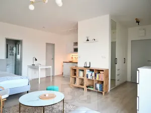 Pronájem bytu 1+kk, Brno, 40 m2
