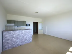 Prodej bytu 1+kk, Plzeň - Severní Předměstí, Hodonínská, 31 m2