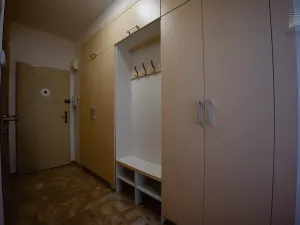 Pronájem bytu 2+1, Brno, Družstevní, 54 m2