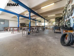 Pronájem výrobních prostor, Pardubice, Plemenářský podnik, 1295 m2
