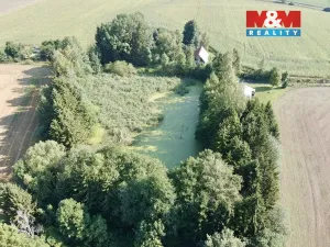 Prodej rybníku, Rychnov nad Kněžnou - Lipovka, 5963 m2