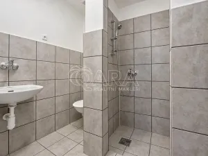 Pronájem rodinného domu, Litoměřice - Litoměřice-Město, Velká Dominikánská, 65 m2