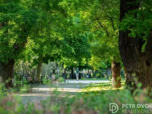 Prodej bytu 3+kk, Praha - Karlín, U invalidovny, 71 m2