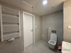 Pronájem bytu 1+kk, Hořovice, Pšeničná, 31 m2