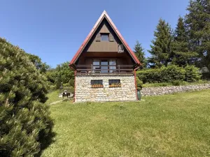 Prodej chaty, Zábřeh - Dolní Bušínov, 95 m2