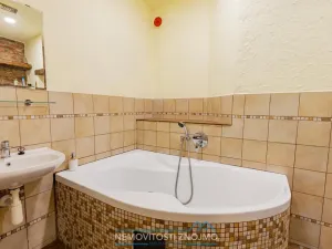 Prodej obchodního prostoru, Znojmo, Sokolská, 547 m2