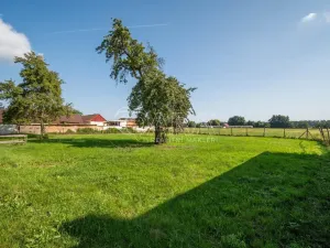 Prodej pozemku pro bydlení, Kladruby nad Labem - Bílé Vchynice, 650 m2