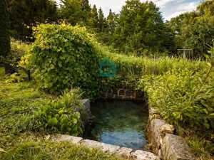 Prodej chaty, Netolice, Mírové Náměstí, 90 m2