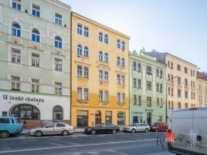 Prodej bytu 6+kk a větší, Praha - Žižkov, Hartigova, 187 m2