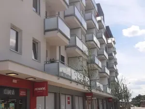 Pronájem bytu 1+kk, Olomouc, Edmunda Husserla, 25 m2