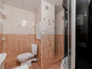 Prodej bytu 1+1, Karviná - Hranice, Slovenská, 39 m2