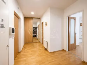 Pronájem bytu 2+kk, Praha - Vinohrady, U Zvonařky, 82 m2