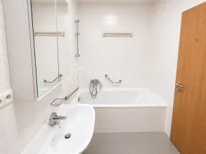 Pronájem bytu 2+kk, Praha - Vinohrady, U Zvonařky, 82 m2