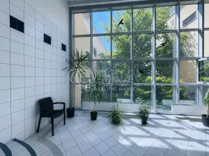 Pronájem bytu 2+kk, Praha - Vinohrady, U Zvonařky, 82 m2