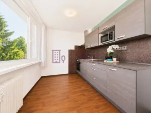 Prodej bytu 2+1, Nová Bystřice, K. H. Borovského, 64 m2